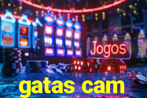 gatas cam